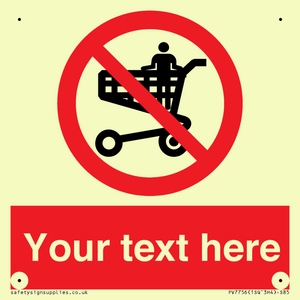 Custom prohibition no standing in trolley